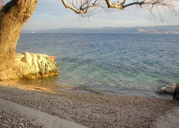 Zavode 11786a * 洛克瓦罗戈兹尼察